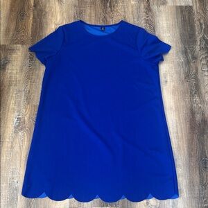 SHEIN Royal Blue Scallop Hem Mini Dress